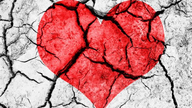 broken-heart.jpg.653x0_q80_crop-smart.jpg